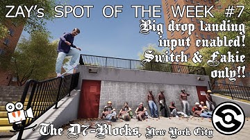 Session (Skate Sim) - Zay