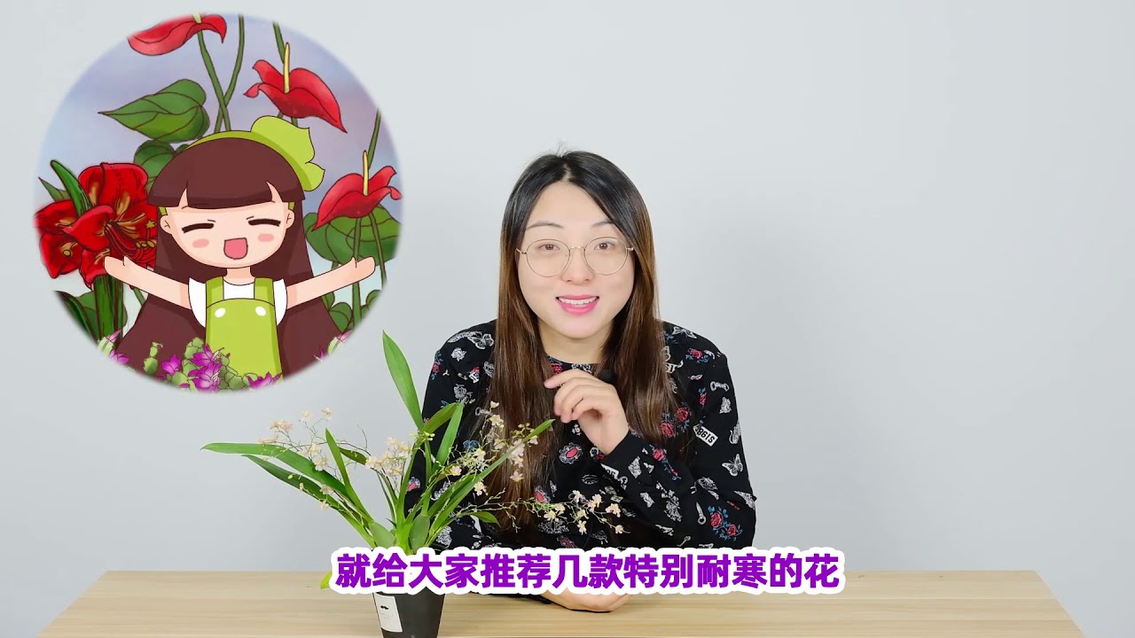 耐寒花推荐 10 还能开花 越冷越爆盆 8种介绍 Youtube
