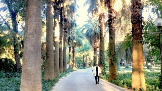 Doğduğum Yerler / Ercüment Atalay & Atılım / Düşgezginleri® Canlı Tv Resimi