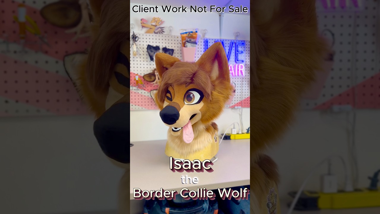 Isaac the Border Collie Wolf [Commission Showcase!]