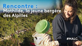 Rencontre : Mathilde, la jeune bergère des Alpilles