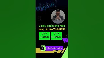 2 siêu phẩm cho nhịp sóng hồi của VN-INDEX?