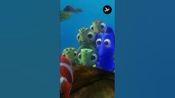 Finding Nemo - P Sherman, 42 Wallaby Way, Sydney