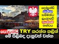 poland jobs sinhala | poland jobs for sri lankans 2021 | පෝලන්ඩ් රැකියා සදහා try කරන්න පෙර