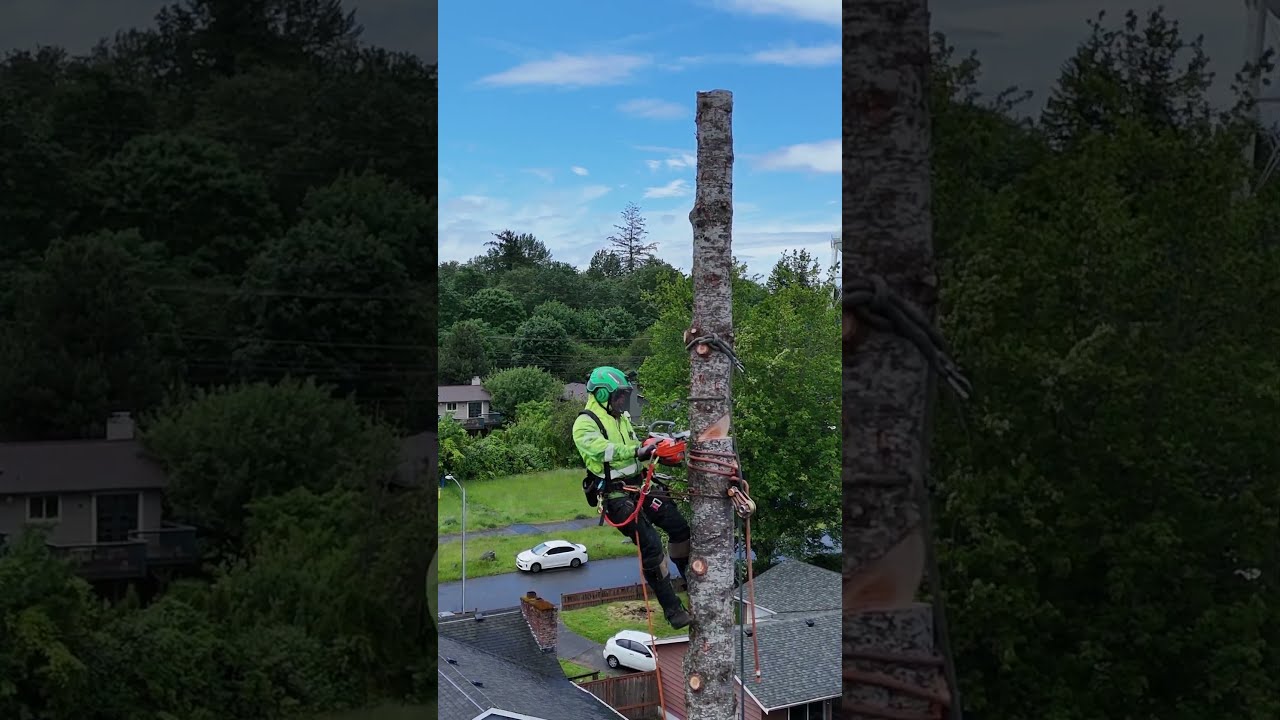 Would You Climb This 