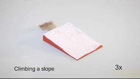 Miniature Origami Robot Self folds, Walks, Swims, and Degrades