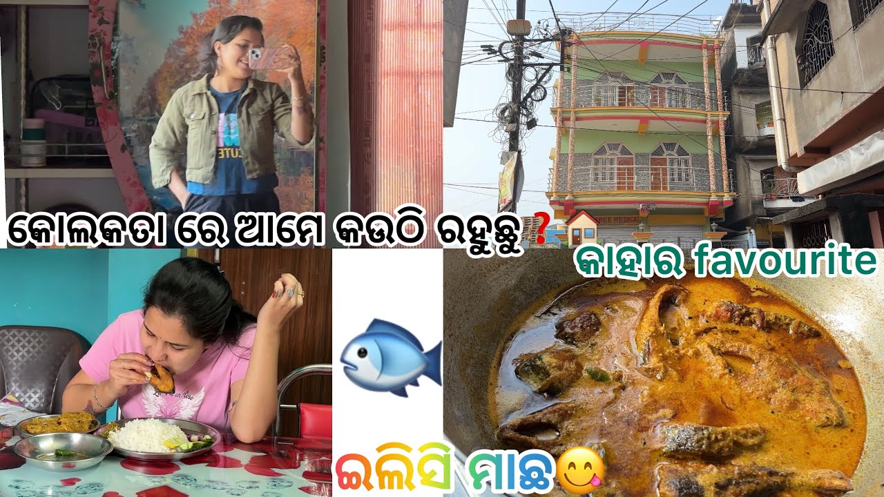 କୋଲକତା ରେ ଆମେ କଉଠି ରହୁଛୁ❓||କାହାର favourite ଇଲିସି ମାଛ❓