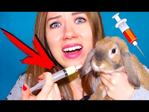 ШПРИЦ В РОТ кролику ДАЕМ ЛЕКАРСТВО КРОЛИК В ШОКЕ | Elli Di Pets