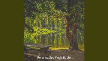 Subtle Backdrops for Steam Baths