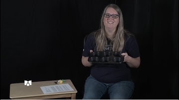 Early Learning Tip: Sorting Pom-Poms