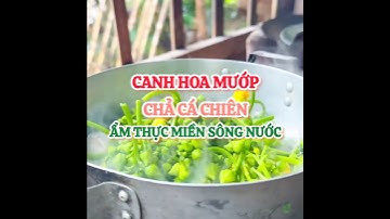 🌱 CANH HOA MƯỚP - CHẢ CÁ CHIÊN ♻️ ẨM THỰC MIỀN TÂY #raucoxanh #lacoxanhfb #food #amthucmientay