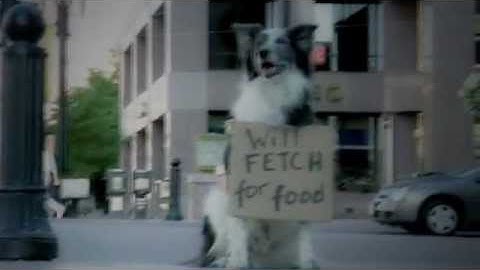 vidders4cause PROMO // Auction - December 11th