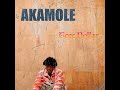 Radio Edit Akamole Teee Dollar