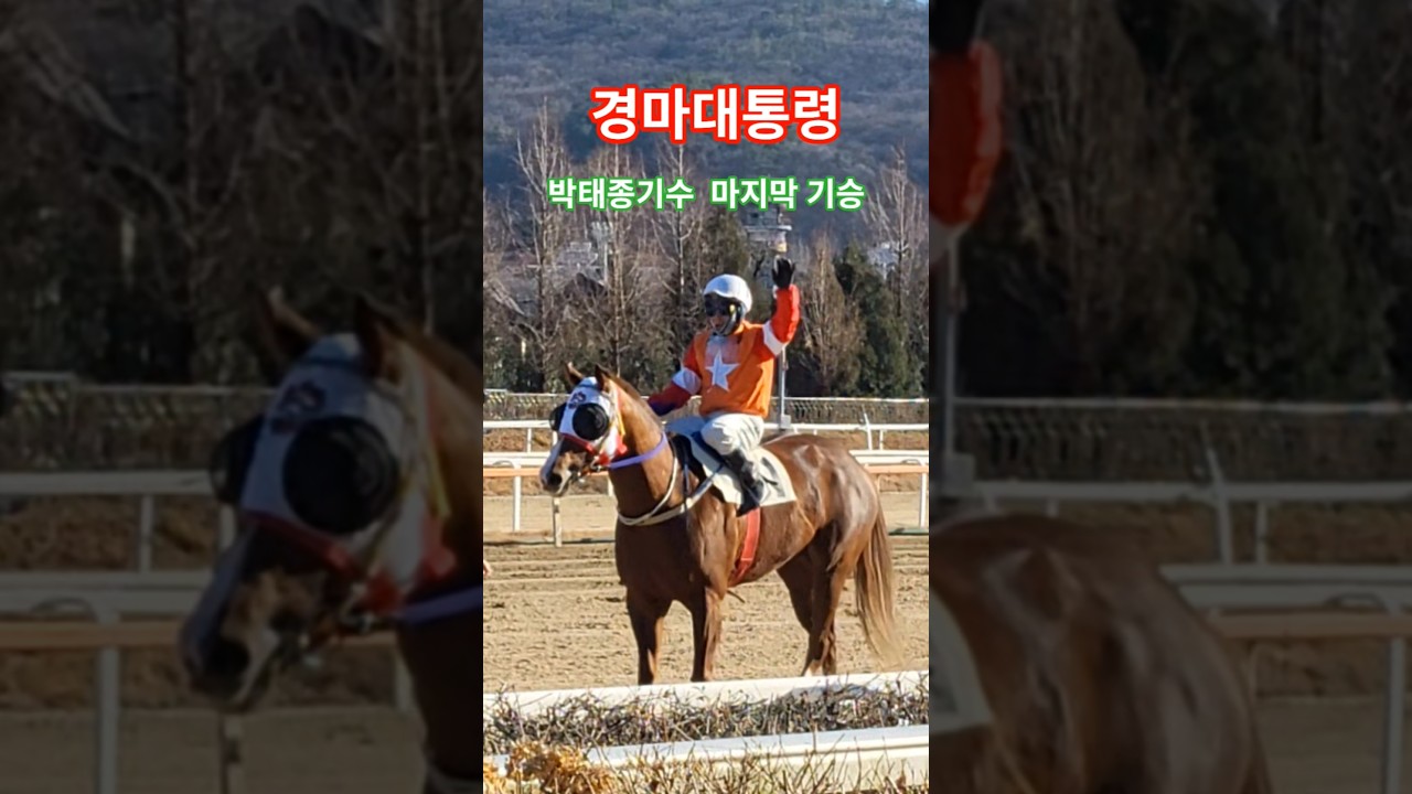 따이종 박태종 수고하셨읍니다 #경마 #말 #달려라말 #퍼레이드 #shrots #horse