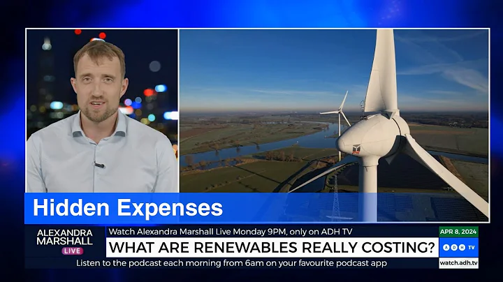 The Shocking Cost of Transitioning to Net Zero