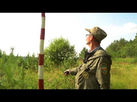 Висимский заповедник, док. фильм