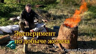 Эксперимент по добыче железа из болотной руды