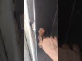Professional Electric Strike Lock Installation & Testing | Door Access Control SG 🇸🇬