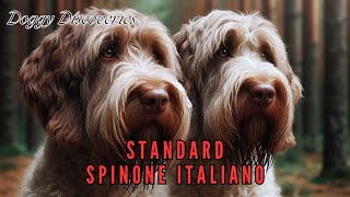 Standard F.C.I. dello SPINONE ITALIANO