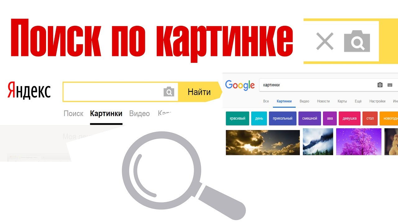 Поиск по картинке