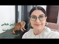 برجين مضغوطين وبرج مثلثة معو السبت 2 مايو 2026 مولود اليوم إستشارات خارطة فلكية لتعرفو أكتر