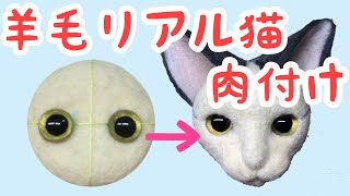 HOW TO  Wool real cat fleshing face