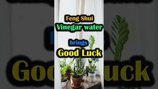 -Feng Shui-  Clean plants with vinegar water