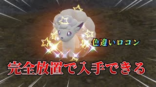 完全放置で色違いアローラロコン入手できます!!【#ポケモンsv 】【#藍