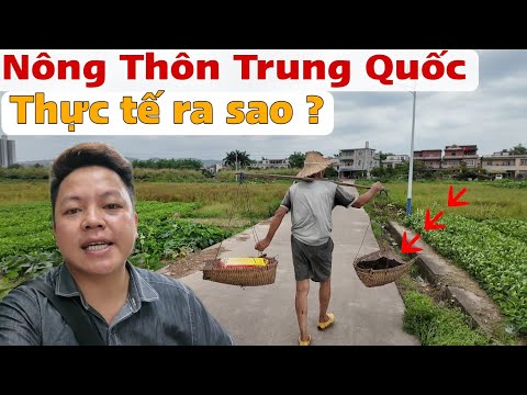 Thăm Nông Trung