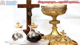 Divya Karunyame Hruthin Anandame Karoake ദിവ്യകാരുണ്യമേ ഹൃത്തിന് ആനന്ദമേ