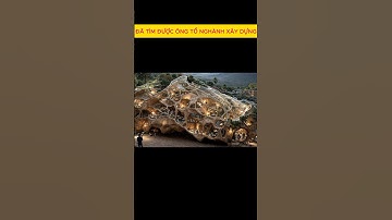 Đã tìm được ông tổ ngành xây dựng và thiết kế kiến trúc.