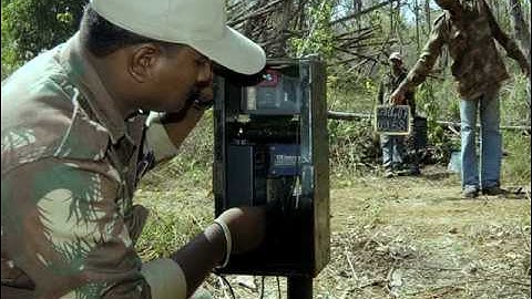 Segment 6 of 9: Monitoring Tigers - Camera Trapping PART 2