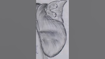 cat ka fast drawing  🎨 #shorts #short #drawing #viral #trending #art #youtubeshorts #youtube