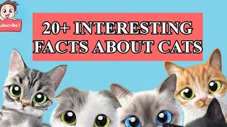 DID YOU KNOW FACTS? 20+ INTERESTING FACTS ABOUT CATS |CAT FACTS| NIRUSPETZONE by Niru's Petzone 345 views 2 years ago 3 minutes, 41 seconds