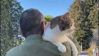 ミー子とちゅーる遠足に行きました。