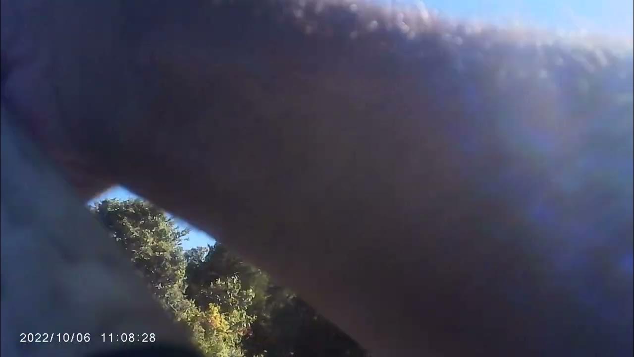 Brown Trout Upper Lake Yaphank YouTube