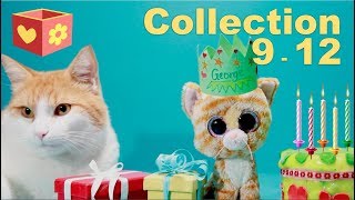 Cute cat Simba | Collection | Video for children to watch