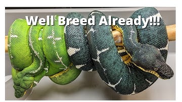 I Did Everything Right, So Why Won