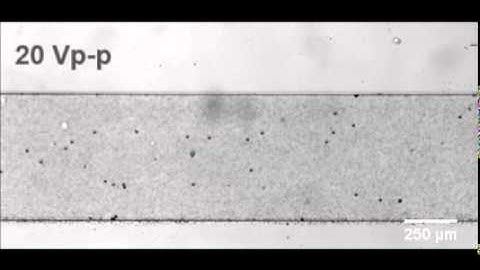 Acoustofluidic Pump  Video 1