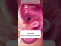 سه ماه اول بارداری بارداری نوزاد نوزادان بهشتی 
