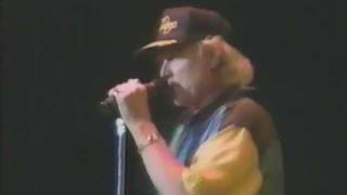 View The Beach Boys - Help Me Rhonda Live Performance at Budokan, Tokyo