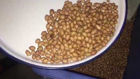 FOCUS - Peanut,groundnut color sorter machine (colour sortex machine) (+91-9842216145)