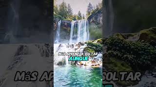 Romeo santos te ame en silencio #youtube #amor #youtubeshorts #love #viral #teamo #shortvideo #jp12