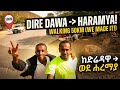 ከድሬዳዋ እስከ ሐረማያ: 50 ኪሎ ሜትር በእግር! 🚶♂️🔥