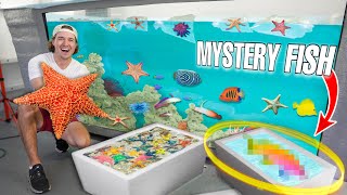 Stocking My Saltwater Pond with TONS OF STARFISH + MYSTERY FISH!