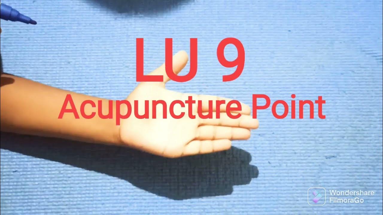 LU 9 ACUPUNCTURE POINT - FUNCTION. - YouTube