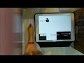 Middle of video