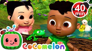 cody and ceces nature discovery cocomelon its cody time songs for kids nursery rhymes