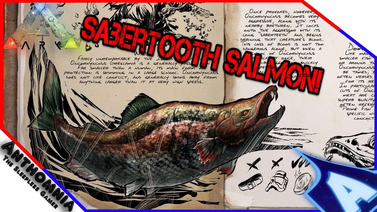  A fossil of a sabertooth salmon, Oncorhynchus rastrosus, a species of fish that lived during the Eocene epoch.