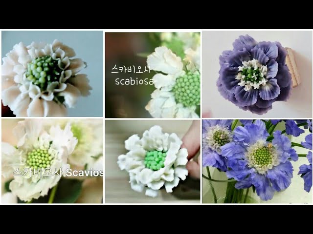 앙금플라워 스카비오사 꽃짜기 모음 Scaviosa flower piping techniques tutorial